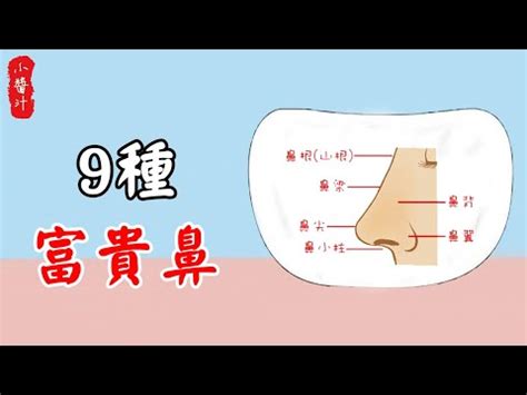 鼻孔形狀面相|鼻型面相：命運密碼